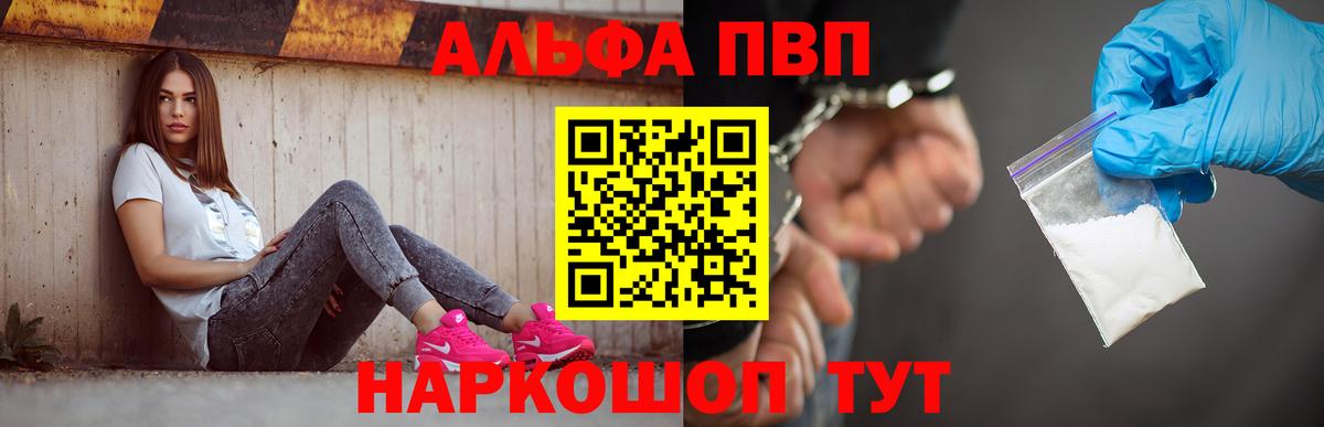 Alfa_PVP СК Кингисепп
