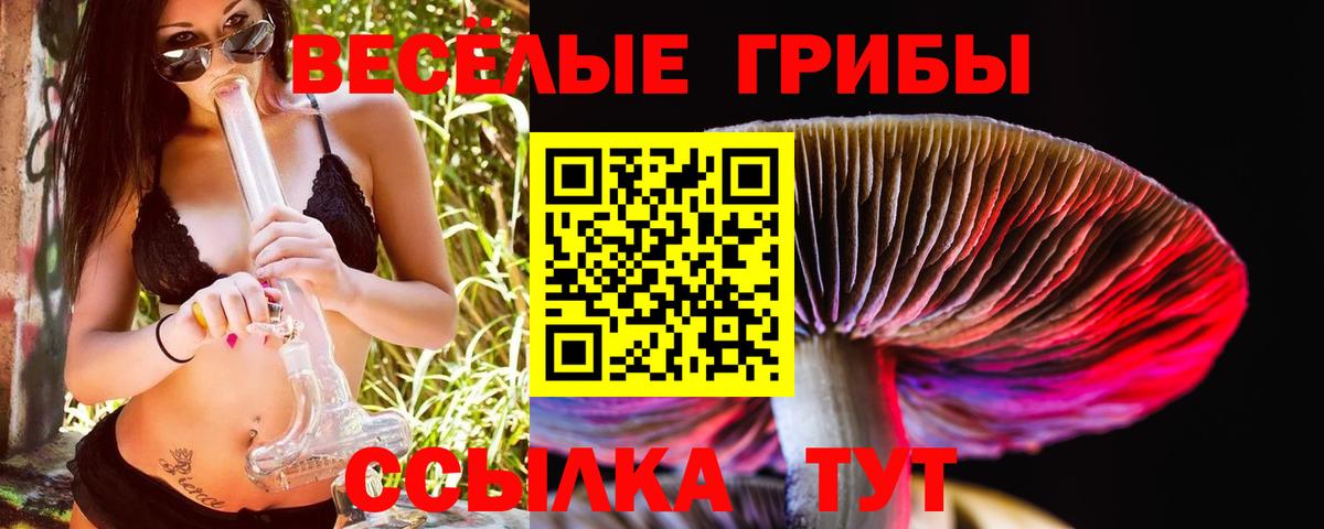 где можно купить наркотик  Вход с VPN  Кингисепп  Псилоцибиновые грибы Magic Shrooms 